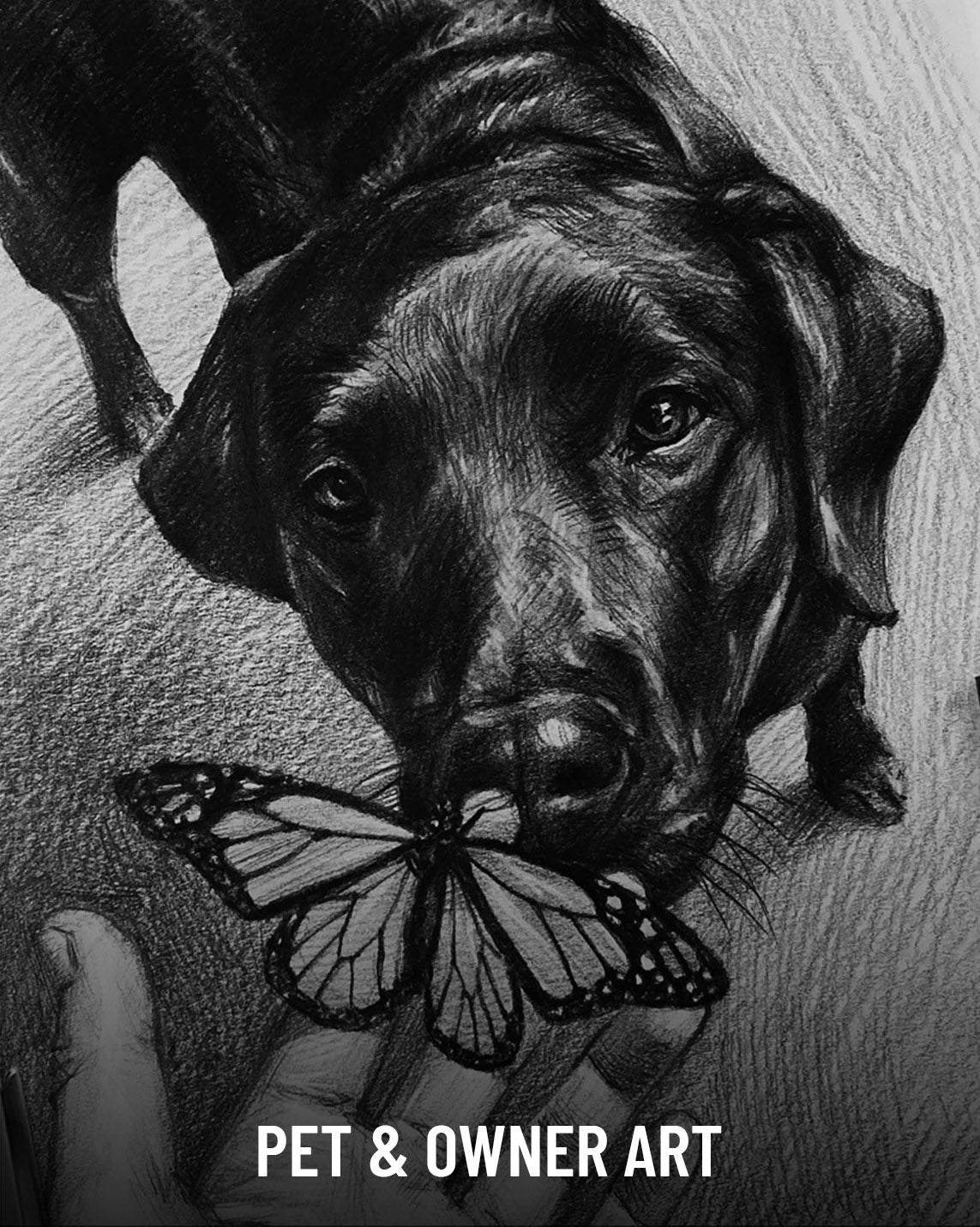A close-up of a detailed, realistic graphite pencil drawing of a dog resembling a black Labrador, looking at a monarch butterfly perched on the fingertips of a human hand held up to its muzzle.