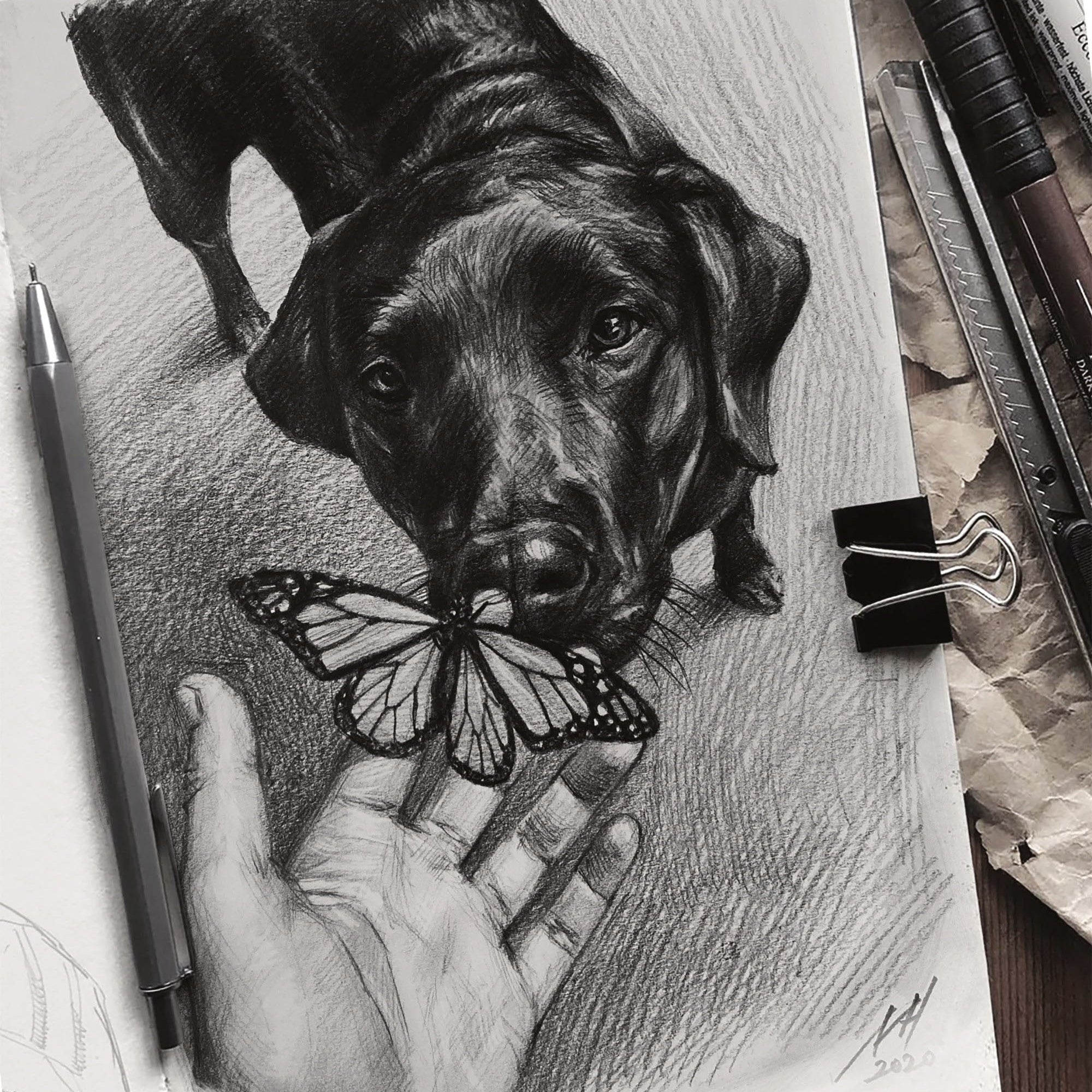 Highly detailed black and white graphite pencil drawing of a black Labrador Retriever seen from below, looking directly forward, with a human hand presenting a Monarch butterfly to it. The Monarch butterfly is on the fingertips, and the dog is looking down at it. The entire drawing is on textured paper on a wooden studio surface, surrounded by actual artist tools like pencils